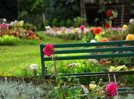 מונאר Oak Field Resort מראה חיצוני תמונה