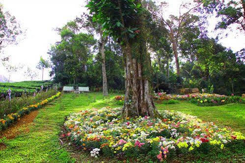 מונאר Oak Field Resort מראה חיצוני תמונה